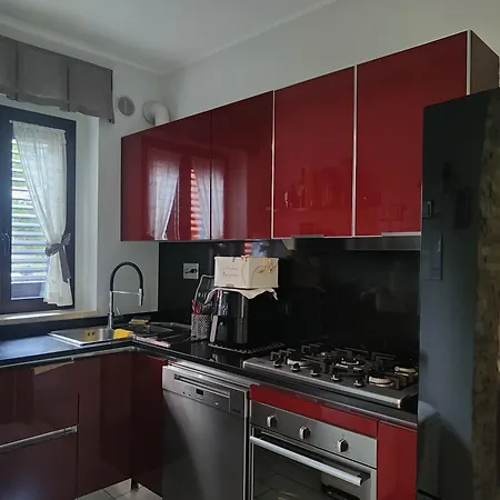 Homiday - K1 - Scikkoso *