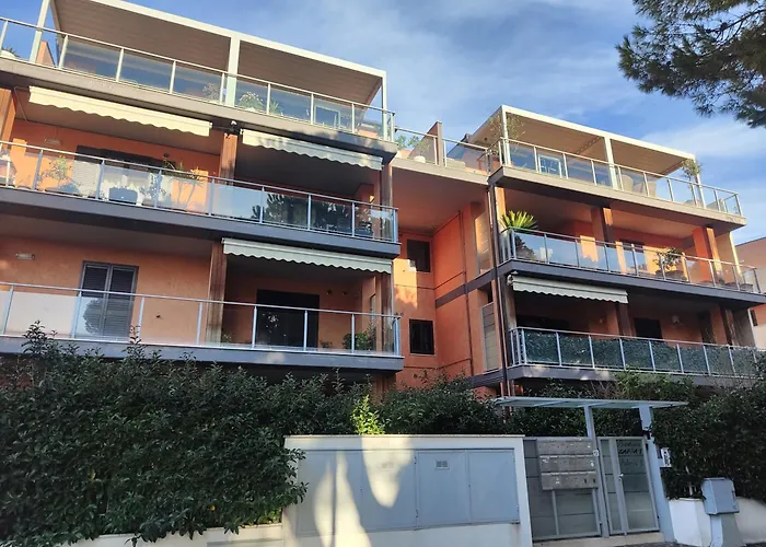 Homiday - K1 - Scikkoso * Pineto