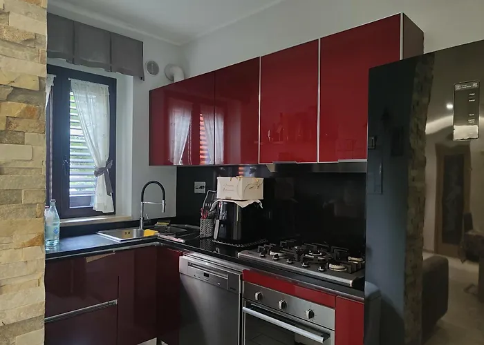 Homiday - K1 - Scikkoso *